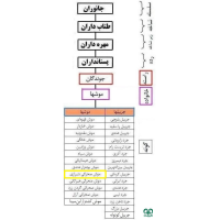 گونه موش صحرایی شیرازی Steppe Field Mouse  